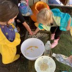 Our Garden in the Fall