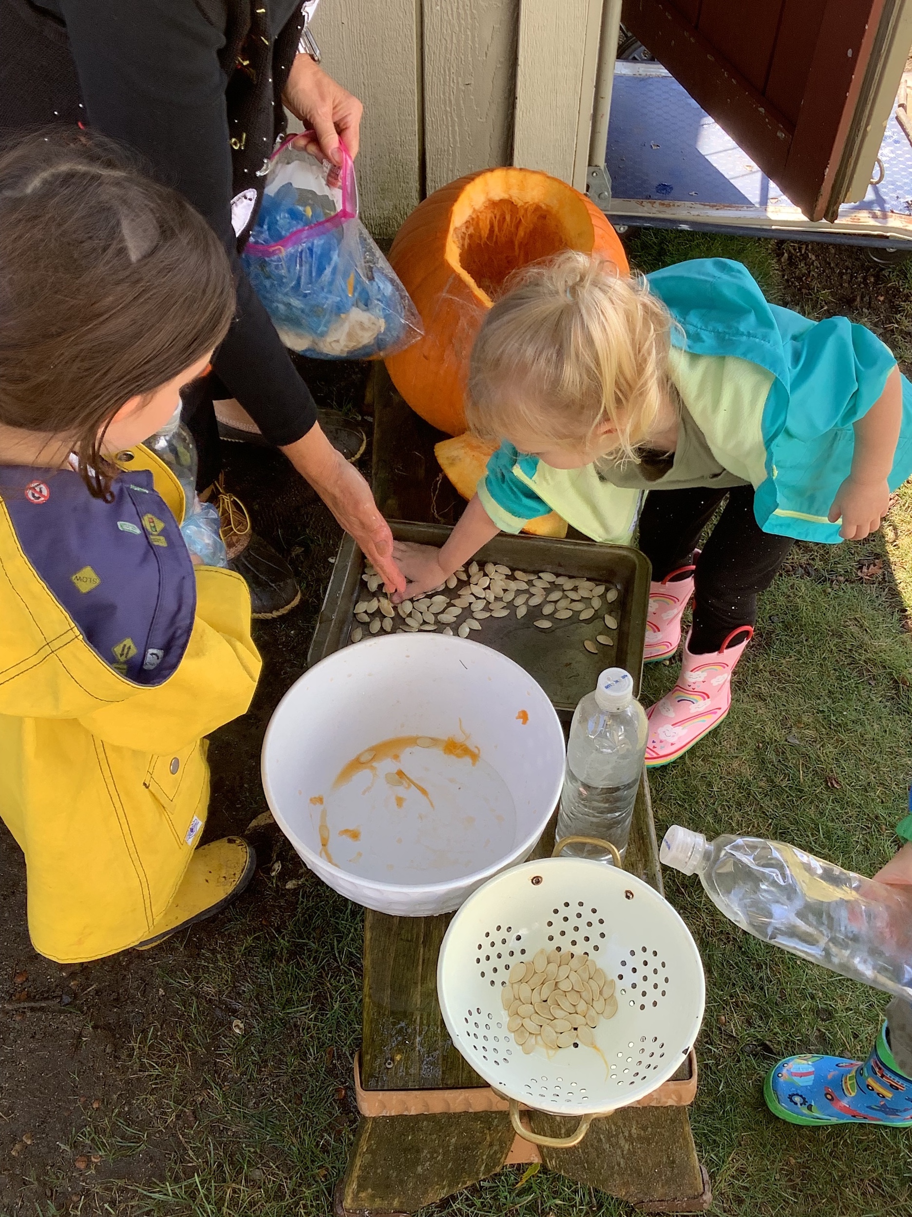Our Garden in the Fall
