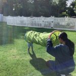 Teacher looks at toddler through a play tunnel.