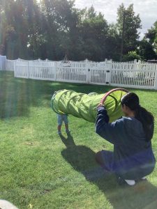Teacher looks at toddler through a play tunnel.