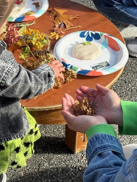 Now hiring caring, curious and intentional teachers.